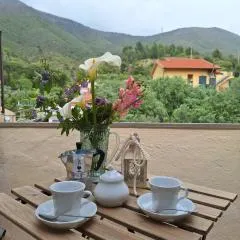 Casa Iris