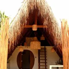 Pretty Jungle Siargao