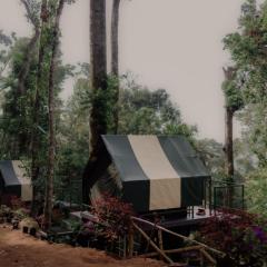 Wonderwoods Tent Camping Munnar