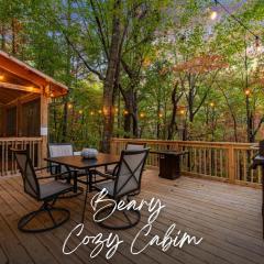 'Beary Cozy Cabin' - Dogs Welcome Ellijay-HotTub