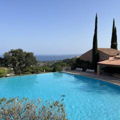 Maisonnette rénovée avec piscines, clim et wifi aux Issambres - FR-1-768-33