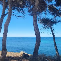 A 50m du Port de Carry-Côte bleue