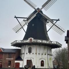 Apartment bei der Windmühle