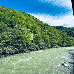 River House