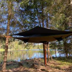 Tree Tent in the nature of Karula National Park