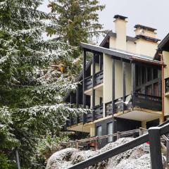 Apartment Les Arsets 301-11 by Interhome