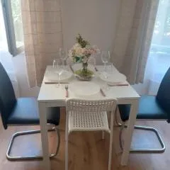 Apartmán ČSA #3# v centru Hradec Králové