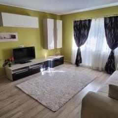 Sarianni Apartament 3 camere Timisoara