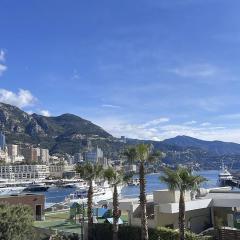 Lovely GP F1 Apartment in Monaco