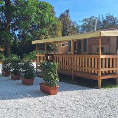 Mobile home Viareggio - including airco- Camping Paradiso - G008
