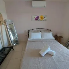 Stella's House