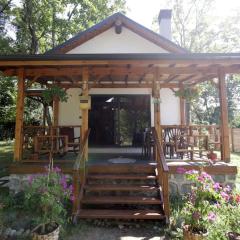 Big Inn Sapanca - Sıcak Havuzlu