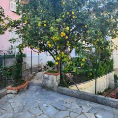 Appartement avec jardin - Le Citronnier
