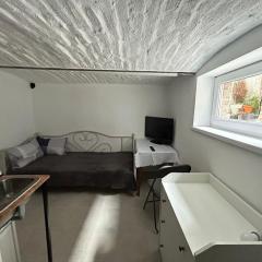 Studio in the center