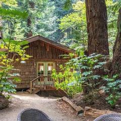 Magical Cabin Retreat in the Redwoods!!