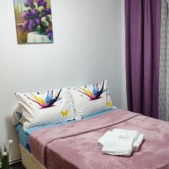 ApartDory 2camere