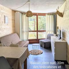 Studio 25m2, 4/6 pers, 30m des pistes, balcon sud