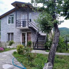 Ananuri Guest house-Veranda