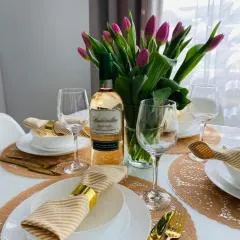 Apartamenty pod Wieżą 1
