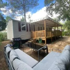 Vacances sous les pins, près de la mer, 6-8 pers,bien équipé, piscine