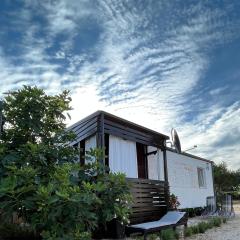 Seaside holiday house Drage, Biograd - 23157