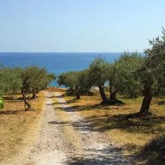 Tenuta Petreria