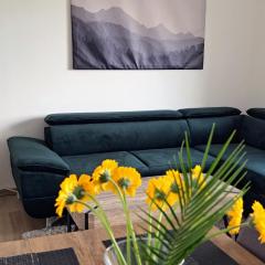 Lovely furnished 1 bedroom flat with balcony in Ostrava