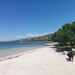 Apartment Isabella - 150m from the beach Zadar County