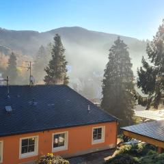 Waldhaus zum gechillten Hirsch in der Natur, bei der Moseltherme Traben-Trarbach