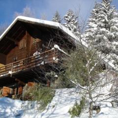 Chalet ax 3 domaines