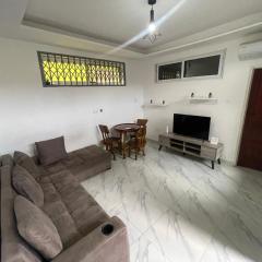 Confortable 2 bedrooms - Center of Osu noble house