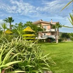 Nonta's Garden - nature & waves