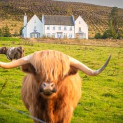 Alexander House 24 - Self Catering