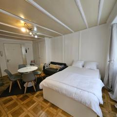 City Center Apt. Old Town ZH
