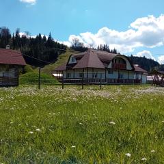 Cabana Iriss