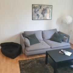 Ferienwohnung ErzHome