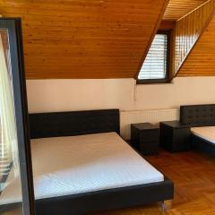 Luxury 3 BR Vila in a forest 10min drive from city center