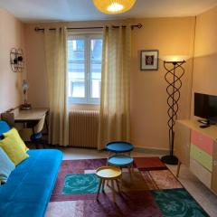 Appartements Chauffour - Colmar Centre