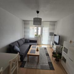 Schönes Appartement in Walschleben