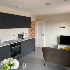 Central Modern Flat