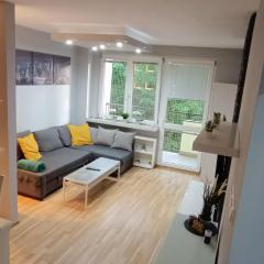 Apartament Olsza