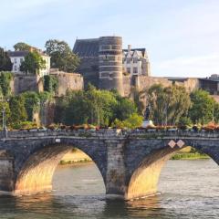 Angers Centre- Gare - Chateau - Duplex 2 chambres