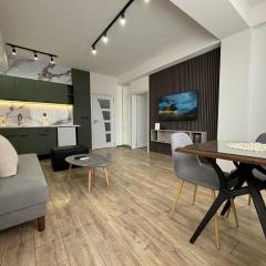 ViK Central Free Parking Apartment in Ohrid