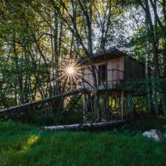 Treehouse Tučapy