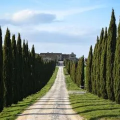 Cozy home in countryside Asciano Siena -renovated!
