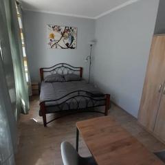 Apartment Vecliepaja