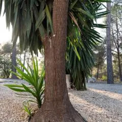 Casa natura