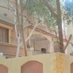 King Fouad Pyramids Inn