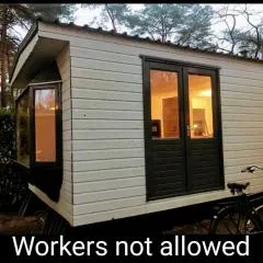 Wulft 47 Zonnig gezellig 6p chalet met zwembad in bosrijke omgeving op Familie Camping de Vossenburcht