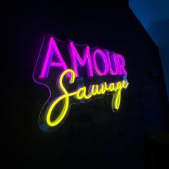 Amour Sauvage-Love Room****, Centre-Historique